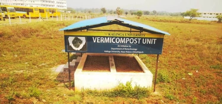 Solid Waste Management
